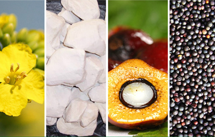 matrix-oleochem-products edited