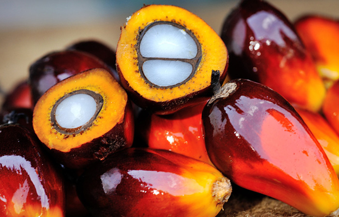 palm-oil-fruit edit